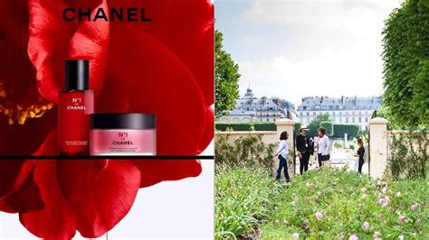 chanel écologie|chanel ens.